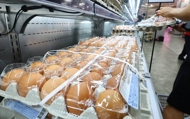 9일 서울 시내 한 대형마트 계란 매대에 소비자들이 계란을 고르고 있다. 뉴시스