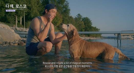 /사진='다 해 로스코'