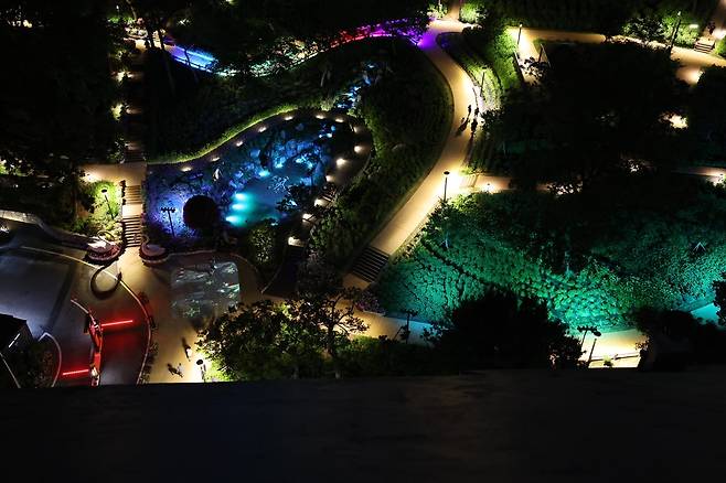 2025년 초안산 수국동산 야간경관 모습 [노원구 제공. 재판매 및 DB 금지]