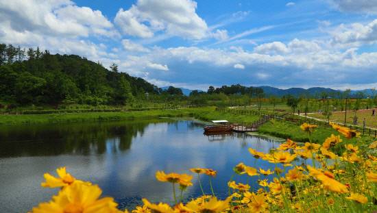 생태공원 전경