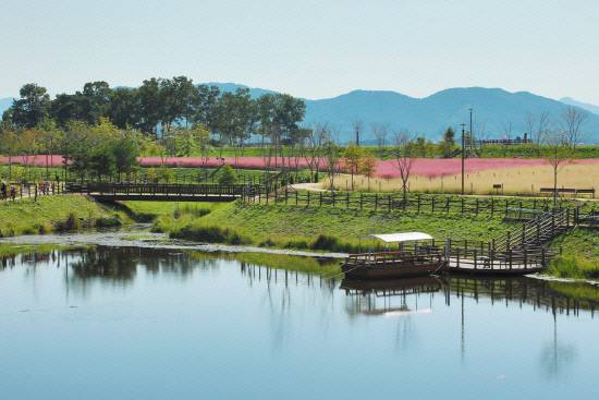 악양생태공원 내 생태연못에서 옛 악양나루의 처녀 뱃사공이 된 줄배 탑승놀이