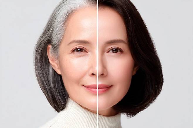 사진출처=클립아트코리아(365mc)