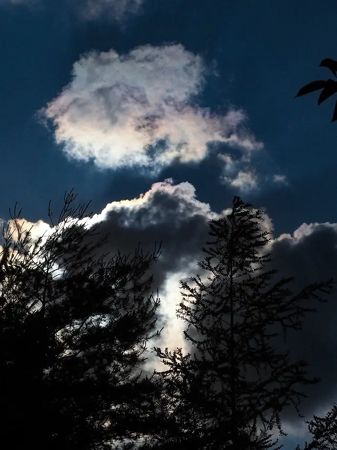 1a98f216dae26ef73eef87e741916c6f7cf561053787a49c6a36d635ee6692ce1c7828