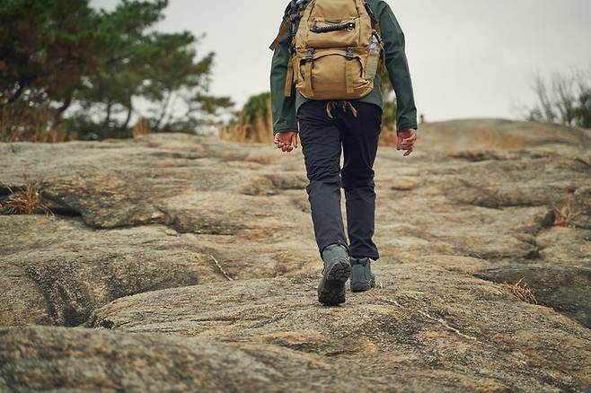 사진=게티이미지코리아.