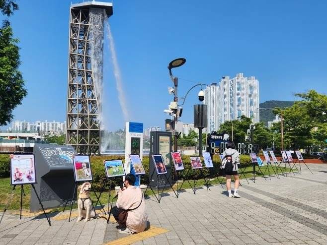지난달 30일 부산시민공원에서 열린 반려동물사진전을 찾은 시민들이 수상작을 감상하고 있다. 부산시 제공