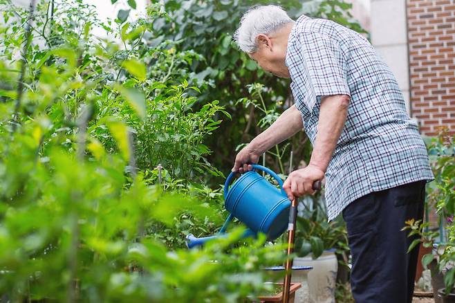 사진=게티이미지코리아.