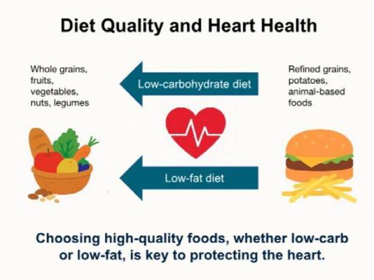 Zhiyuan Wu, Harvard T.H. Chan School of Public Health 제공