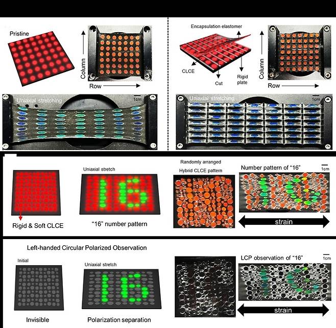 균일한 스트레인 제어 및 편광을 통한 숫자 패턴 암호화 기술 이미지