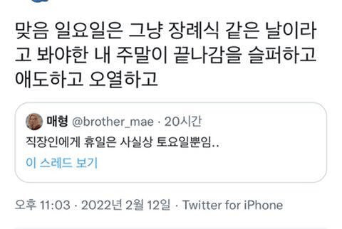 image.png 직장인에게 주말은 사실상 토요일뿐임.. ㅜㅜㅜ .jpg