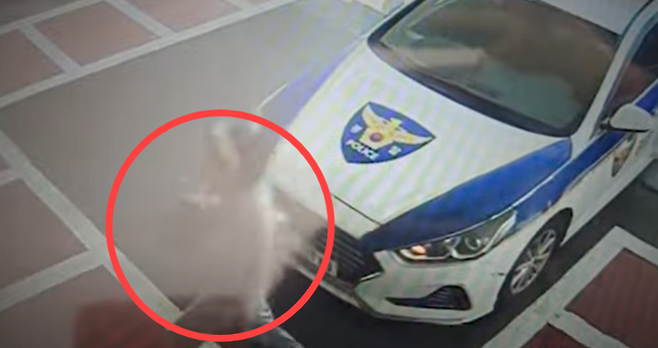 아기의 보호자가 아기를 안고 경찰차에서 내려 응급실로 뛰어 들어가고 있다. [사진 = 유튜브 ‘대한민국 경찰청’]