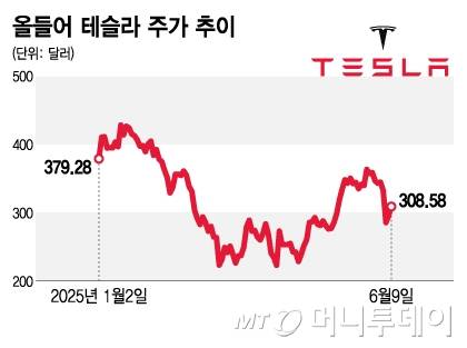 올들어 테슬라 주가 추이/그래픽=김지영