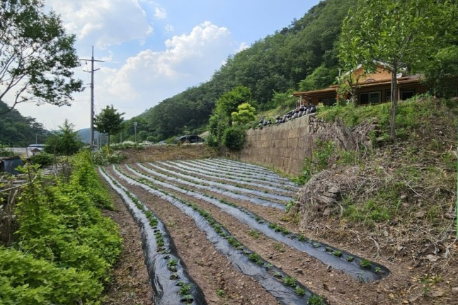 이재명 대통령 생가 터. [연합]