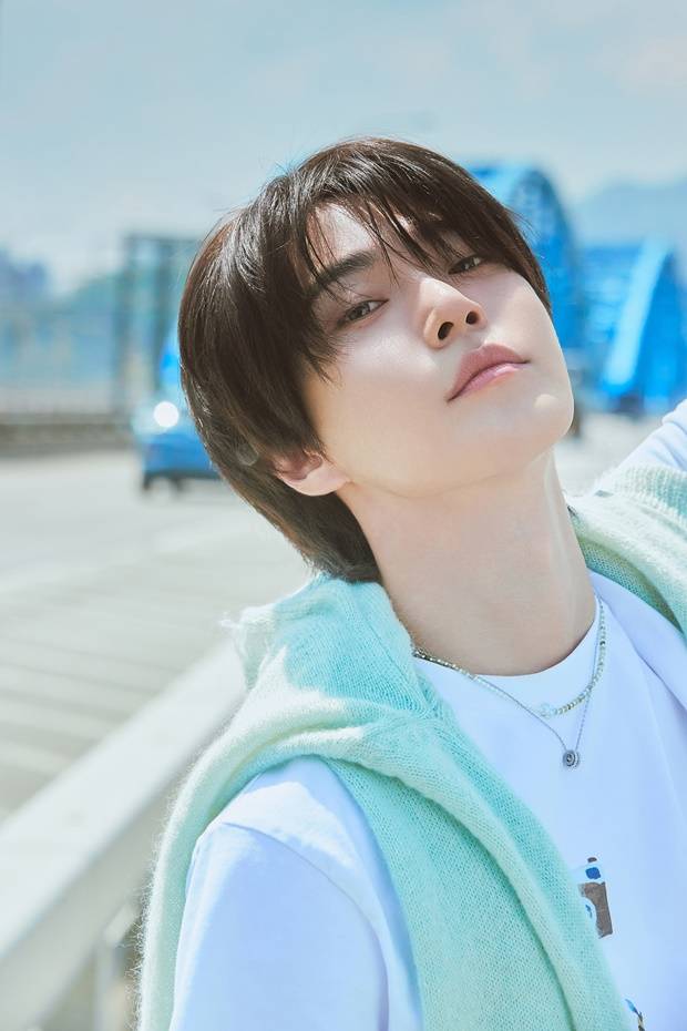 도영