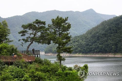 향수호수길 [연합뉴스 자료사진]