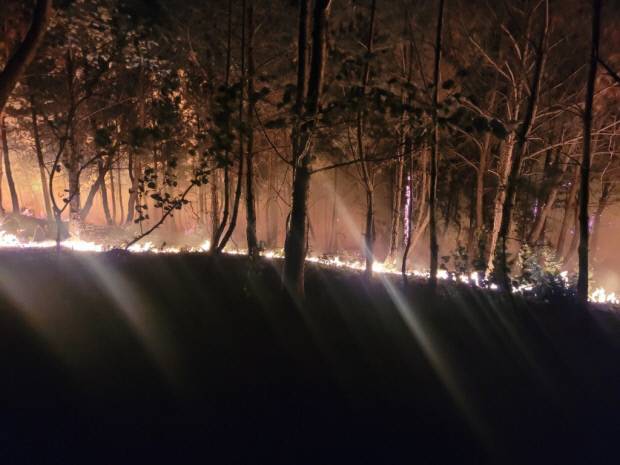 11일 오후 9시23분쯤 경북 포항시 북구 흥해읍 칠포리 곤륜산 정상 부근에서 원인을 알 수 없는 불이 났다. 뉴스1