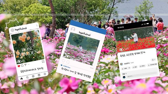 사진출처 : 임실군