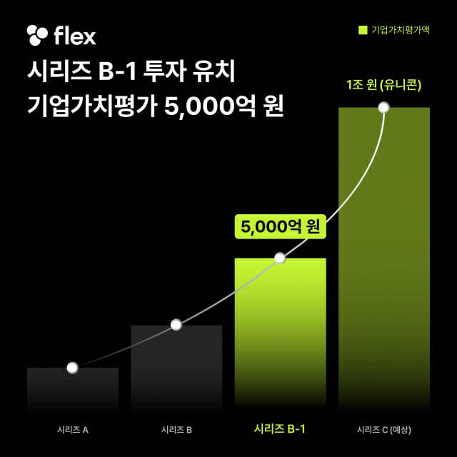 플렉스 투자유치 그래프