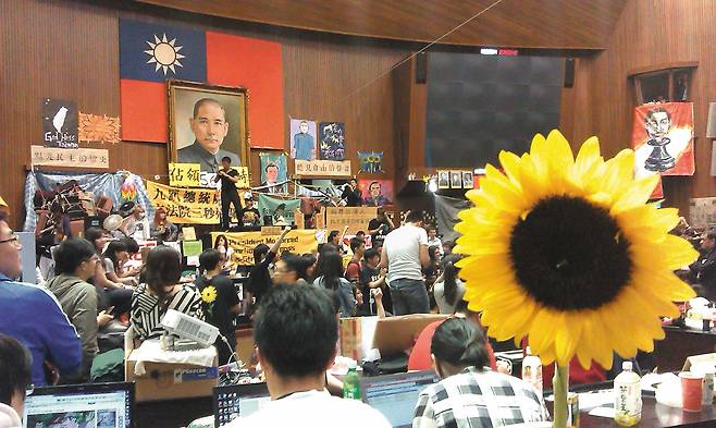 2014년 4월 9일 대만의 청년들이 친중 성향 국민당 정권의 양안(중국과 대만) 서비스무역협정 강행 처리를 반대하며 타이베이의 입법원(국회)을 기습 점거한 모습. 이들은 ‘해바라기 운동’으로도 불린 반정부 시위에서 절차적 민주주의와 대만의 경제적 주권을 주장했다. 이 운동은 2년 후 친미 성향 민진당이 정권을 되찾는 계기가 됐다./위키미디어