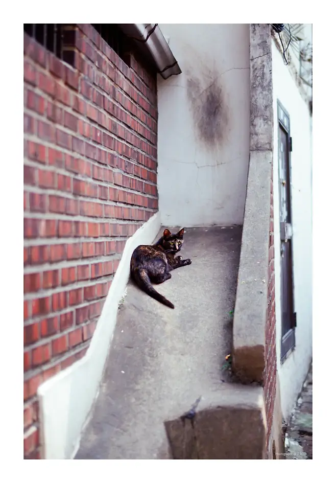 7dedf605bdf46f8523e7f794329c701f551c265aa8d3bc125c1dec3bc2fc390cfce1753acce2fa996a316a69966c48b4acc7a2e8cce2