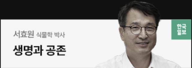 서효원 박사