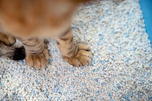 게티이미지뱅크