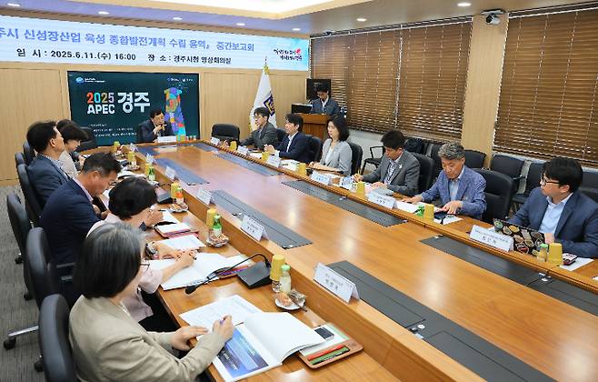 주낙영 경주시장이 신성장산업 육성 종합발전계획 수립 용역 중간 보고회를 주재하고 있다. 경주시 제공