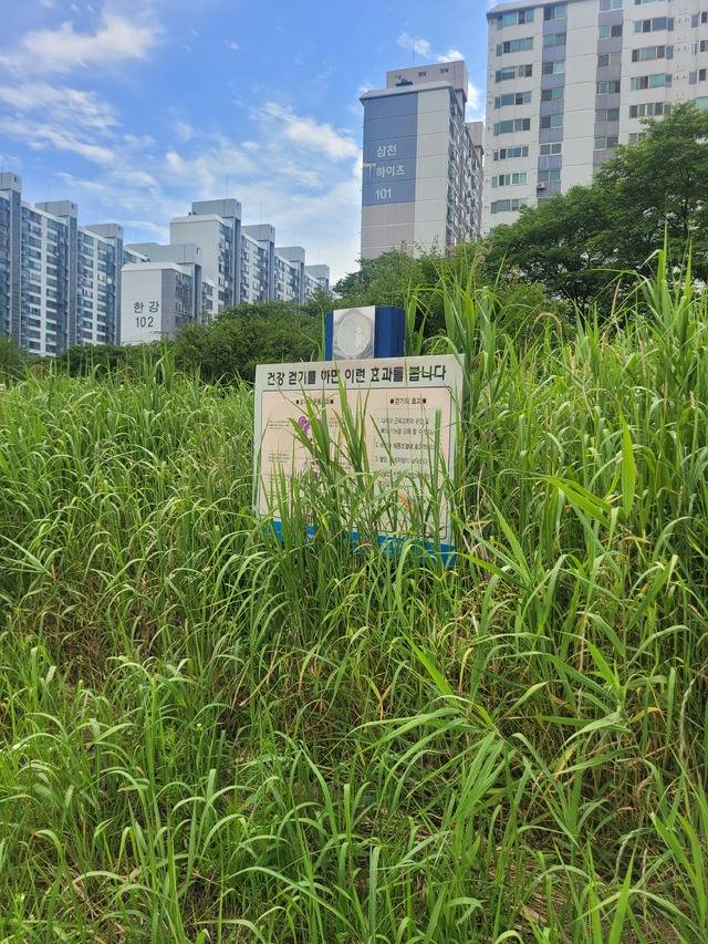12일 삼천 산책로에 설치된 표지판이 풀에 가려져 있다. 문채연 기자