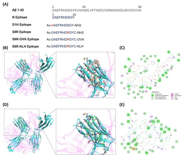 펩타이드 에피토프 백신의 구체적인 설계·제작 그래프. 경상국립대 제공