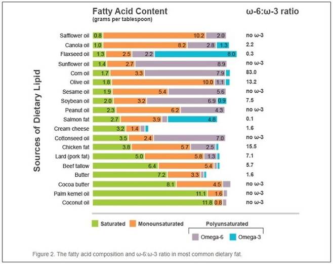 * 출처: GB healthWatch. Omega-3 : Omega-6 balance