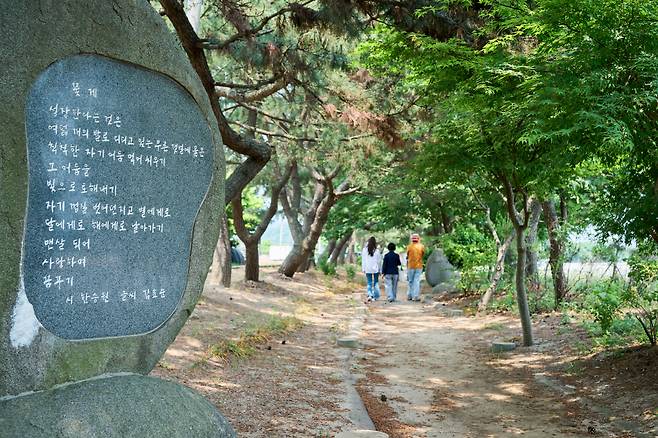 ◇한승원문학산책로는 장흥 안앙면 여다지 바닷가에 있다. 모래 언덕을 따라 길이 600미터 정도의 짧은 길이다. 아름다운 바닷가의 경관과 함께 시를 감상할 수가 있다. 산책로를 전부 둘러보는데 오랜 시간은 걸리지 않는다. 사진=지엔씨21