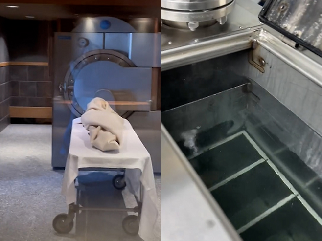 출처=틱톡(nicmik_resomation, delawarepetaquamation)