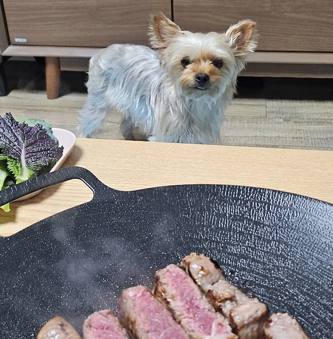 20250611_210804.jpg 저녁 채끝 등심 구워서 한잔