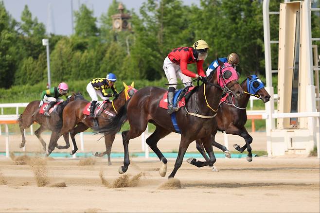 보령라이트퀸과 정도윤 기수 결승선 통과 모습. 사진=한국마사회