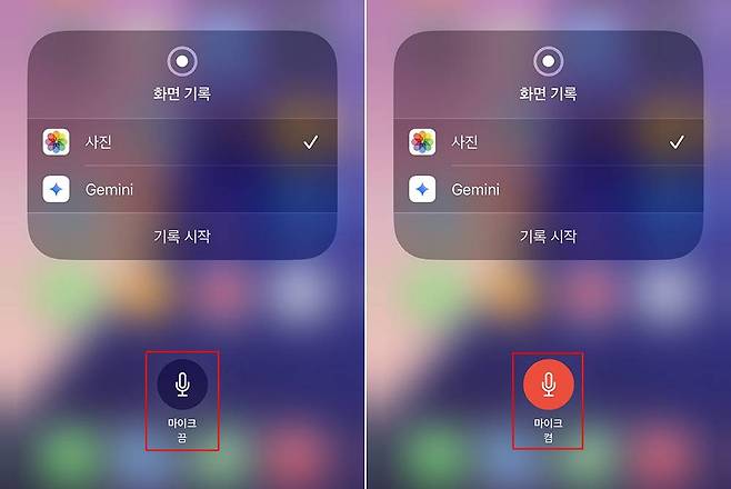 아이폰의 경우 마이크 설정만 변경할 수 있다 / 출처=IT동아