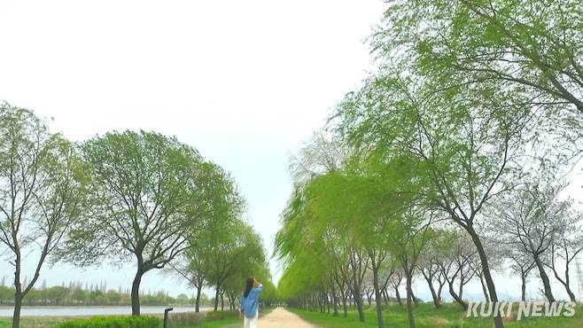 당진의 명소인 합덕연호. 사진=이은성 기자