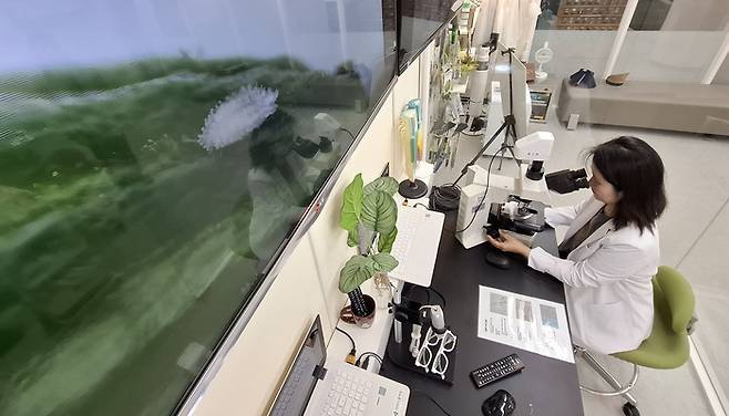 11일 오후 1시 서울 서초구 서울반려식물병원에서 황영주 병원장이 확대경을 보고 식물의 병명을 진단하고 있다. [이승환 기자]