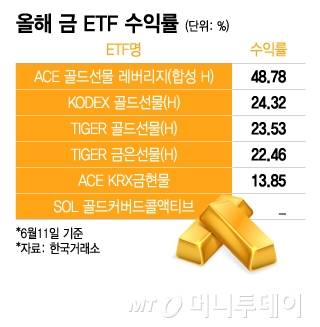 올해 금 ETF 수익률/그래픽=이지혜