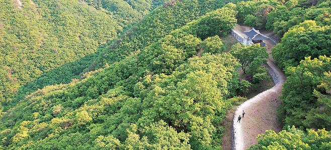 경북 성주의 독용산성 동문 부근의 모습. 가야시대에 쌓은 독용산성은 역사 속에서 사라졌다가, 임진왜란 때 왜적의 살상과 노략질을 피해 산속으로 숨은 피란민들에 의해 발견돼 다시 다듬어졌다.