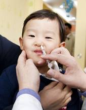 녹십자 ‘플루미스트’를 코에 뿌리고 있다. [헤럴드DB]