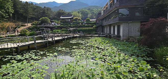 수선사 연꽃 정원