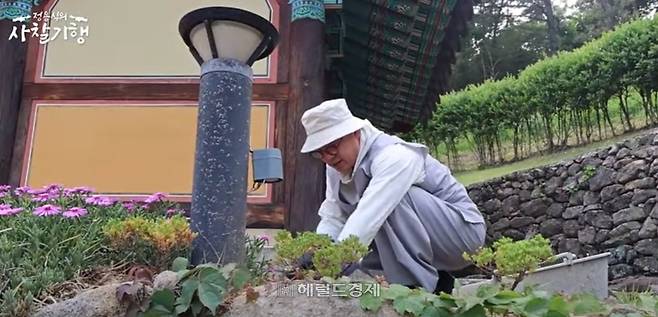 수선사 삼성각 앞 잔디마당의 잡풀을 제거하는 여경 주지 스님 모습. [유튜브 채널 정용식의 사찰 기행 캡처]
