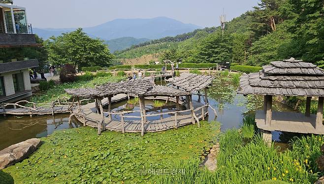 수선사 연꽃 정원