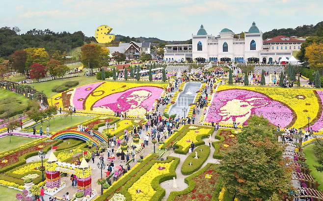 [임실=뉴시스] 지난해 임실N치츠축제, 천만송이 국화꽃이 만개한 임실치즈테마파크. *재판매 및 DB 금지