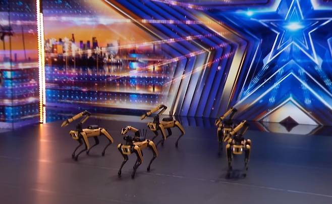 로봇개 스팟 5대가 미국 NBC 오디션 프로그램 ‘아메리카 갓 탤런트’에 출연해 군무를 펼치고 있다. 아메리카 갓 탤런트 유튜브 캡처