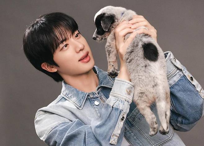 '美의 남신' 방탄소년단 진, '무대 위 아래 온도 차이가 큰 갭모에 스타' 1위