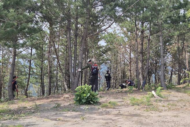 곤륜산 산불 조사 중인 경찰과 남은 불 정리 중인 산불진화대 [촬영 손대성]