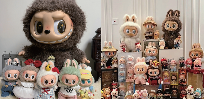 중국 소셜미디어(SNS)에 올라온 ‘라부부’ 인형 수집 인증 사진. /웨이보