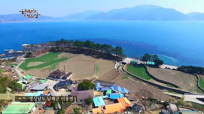 한국인의 밥상 - 왕밤송이게 된장찌개 , 왕밤송이게 찜(스압) 한국인의 밥상 - 왕밤송이게 된장찌개 , 왕밤송이게 찜.jpg