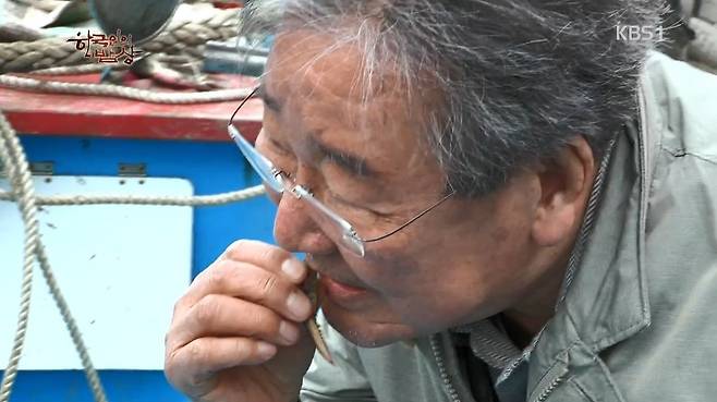 한국인의 밥상 - 왕밤송이게 된장찌개 , 왕밤송이게 찜(스압) 한국인의 밥상 - 왕밤송이게 된장찌개 , 왕밤송이게 찜.jpg