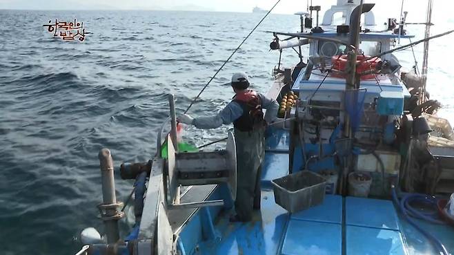 한국인의 밥상 - 왕밤송이게 된장찌개 , 왕밤송이게 찜(스압) 한국인의 밥상 - 왕밤송이게 된장찌개 , 왕밤송이게 찜.jpg